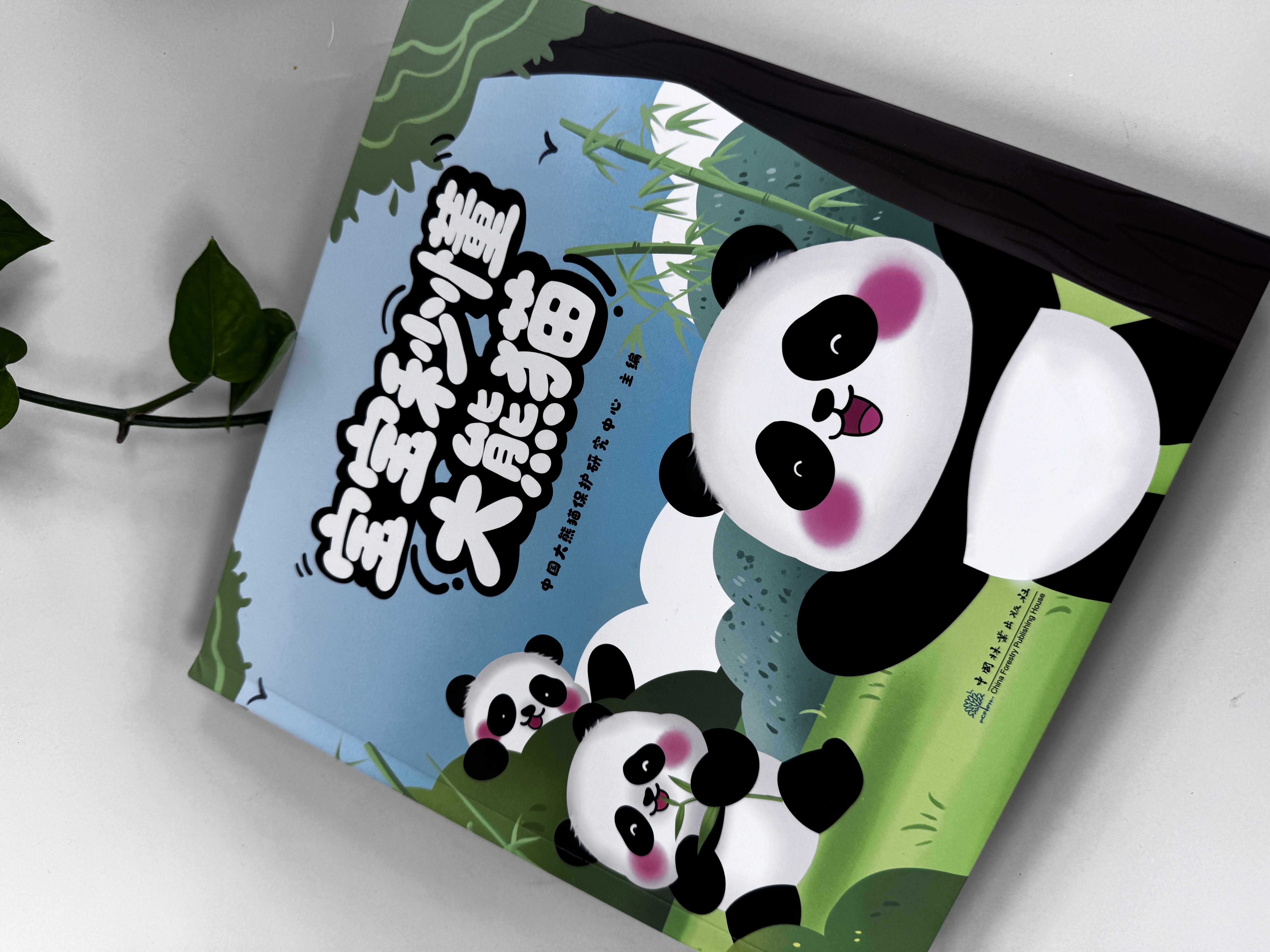 【新书预售】宝宝秒懂大熊猫 &3387