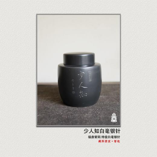 2008年少人知白毫银针 斑锡龙锡罐联名款 福鼎白茶标杆之作南北仓 商品图0