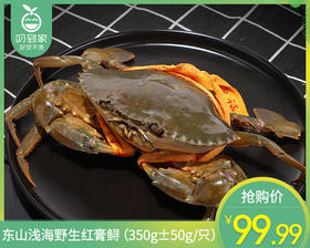 东山浅海野生红膏鲟（350g±50g/只）