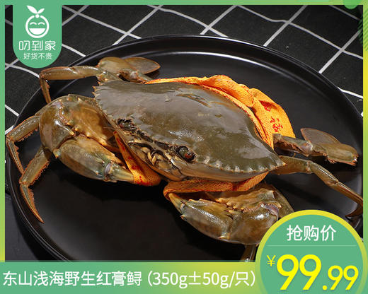 东山浅海野生红膏鲟（350g±50g/只） 商品图0
