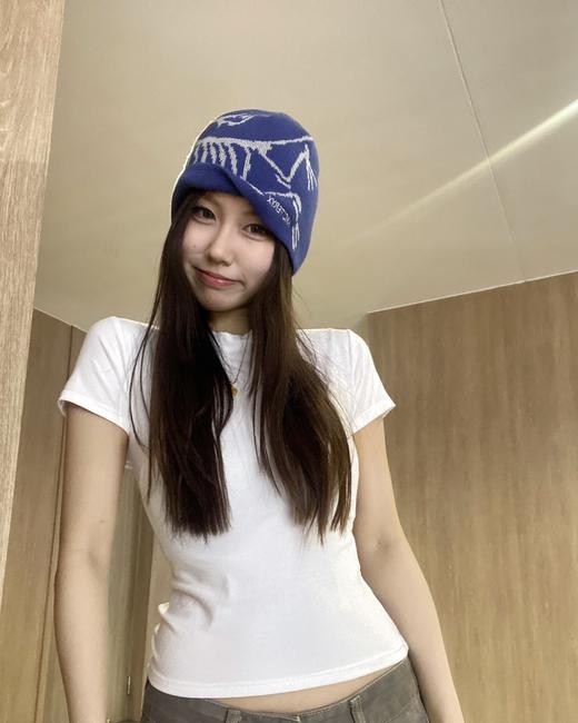 点此购买 始祖鸟秋冬季男女款冷帽 xj 338010 商品图9