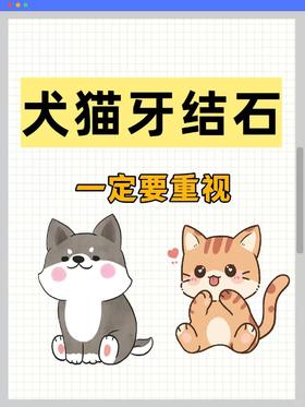 犬猫牙结石 你知道有多大的危害吗？