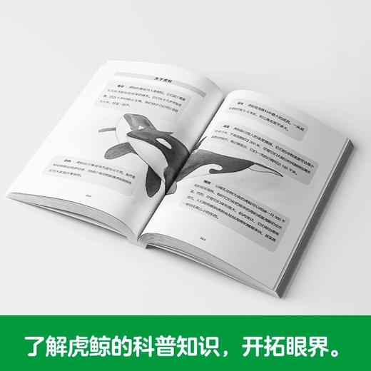 荒海里的鲸鱼 百班千人2026年寒假六年级课外阅读6年级名师推荐课外书必读正版授权大阅小森 商品图2