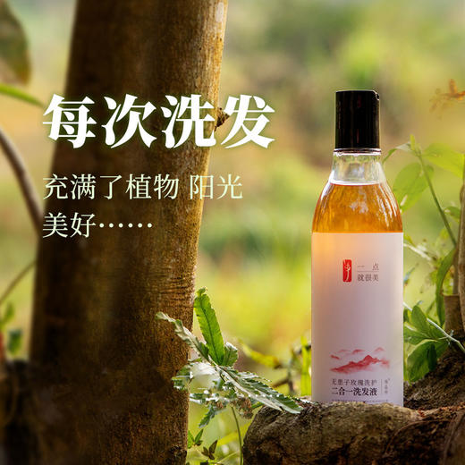 微益邦 无患子玫瑰植物洗发液 洗护二合一 312g洗发水 氨基酸表活 商品图0