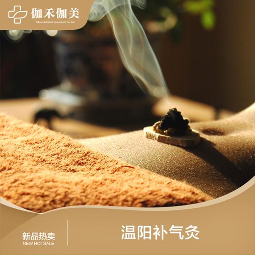 温阳补气灸 商品图0