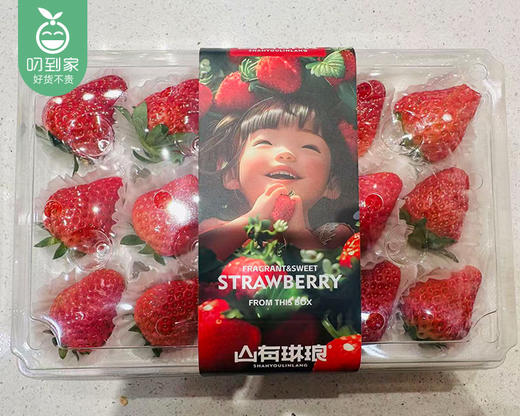 丹东99红颜草莓红果（300g±15g/盒 15颗） 商品图3
