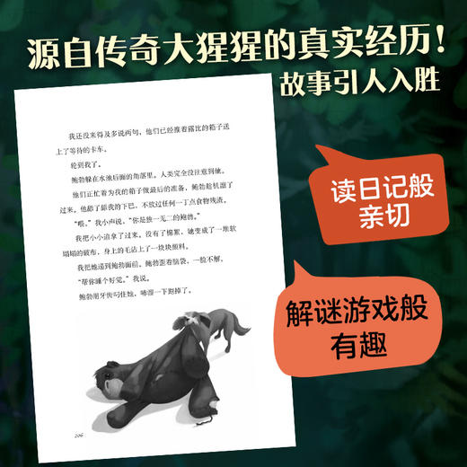 独一无二的伊凡 商品图3