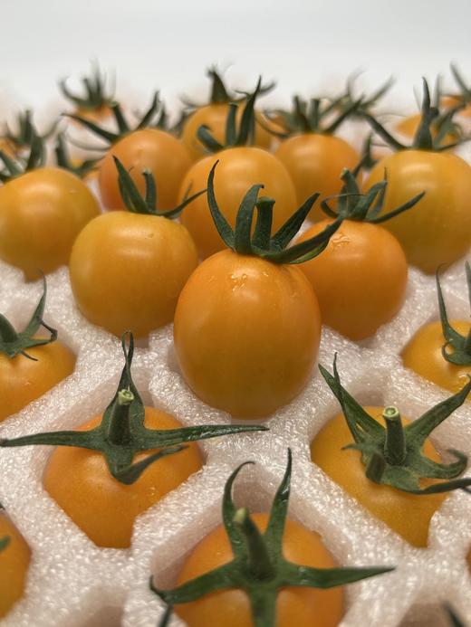 小红柿-黄金圣女果 商品图1