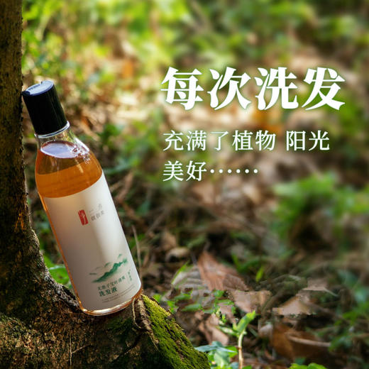 微益邦无患子艾叶洗发液 沐浴液 清爽天然 无硅油 商品图4