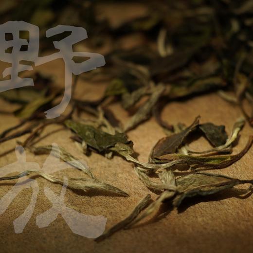 渐喜五年陈 2018年太姥山野放白牡丹福鼎老白茶 [藏茶密室.宝之] 商品图1