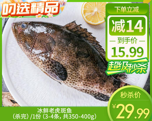 冰鲜老虎斑鱼（杀完）/1份（3-4条，共350-400g） 商品图0