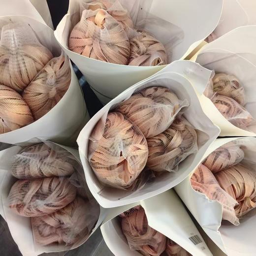 热卖国产维也纳菊盘龙菊5支 商品图6