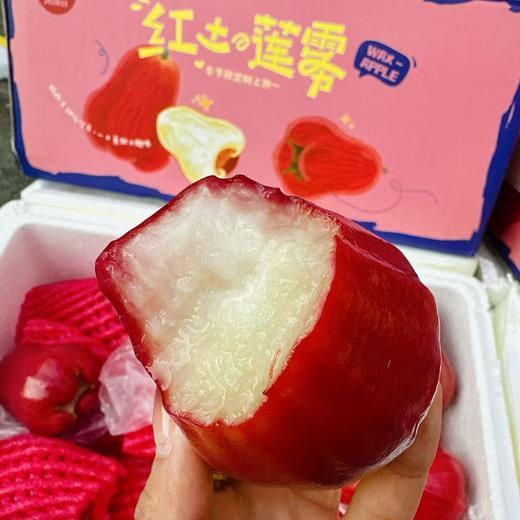 海南空运红土莲雾 精选果  整箱4斤装 商品图1