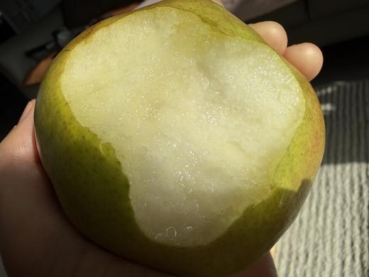 新疆玉露香梨梨中王者，水分爆表，皮薄脆甜，入口无渣 商品图2
