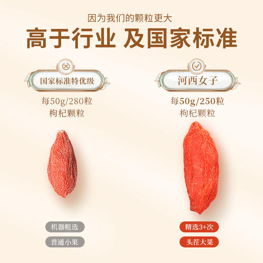 河西女子 特优枸杞 250g*2罐 好枸杞无硫熏 无染色 头荐大果，送测硫试纸（送完即止） 商品图2