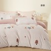 10楼堂皇  牛奶绒四件套--贝利丝，慕慕220*240cm 吊牌价1390元  活动价399元/套，559元/2套 商品缩略图14
