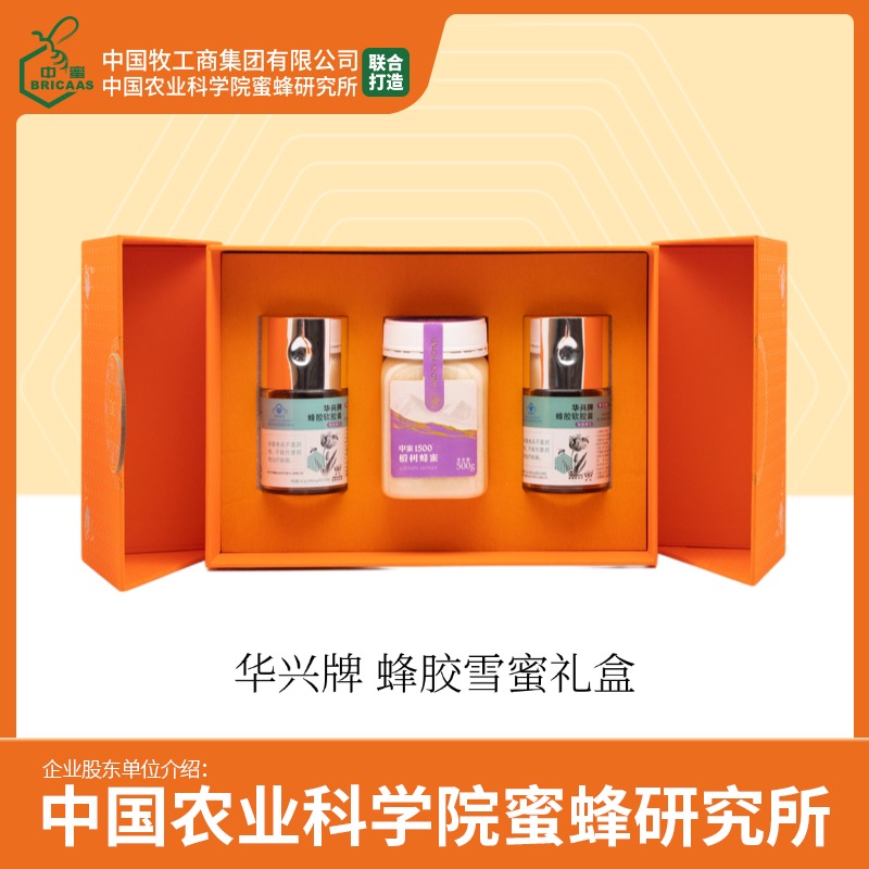 华兴牌 橙意礼盒 年货节礼盒 提高免疫力 蜂胶双支礼盒 含雪蜜500g一瓶