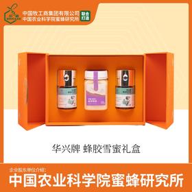 华兴牌 橙意礼盒 年货节礼盒 提高免疫力 蜂胶双支礼盒 含雪蜜500g一瓶