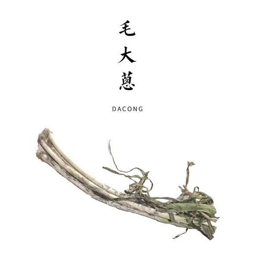 大葱 500g 商品图1