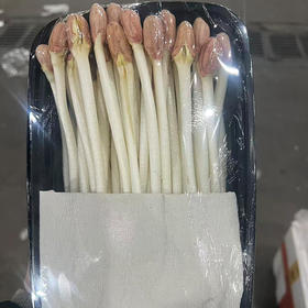 【限自提】花生芽1斤装/盒