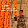 企鹅市集 |陕西正宗富平柿饼 2025年新货 多规格可选 柿饼之乡富平 软糯甜蜜 商品缩略图4