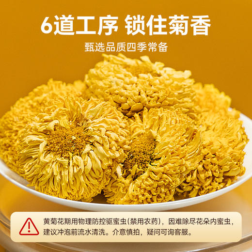 花茶  茶叶花茶  黄菊花茶 花草花茶茶 一朵一大杯 70g 商品图1
