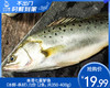 本港七星鲈鱼（冰鲜-杀好）/1份（2条，共350-400g） 商品缩略图0
