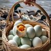 咸鸭蛋13.8元/2斤 商品缩略图0