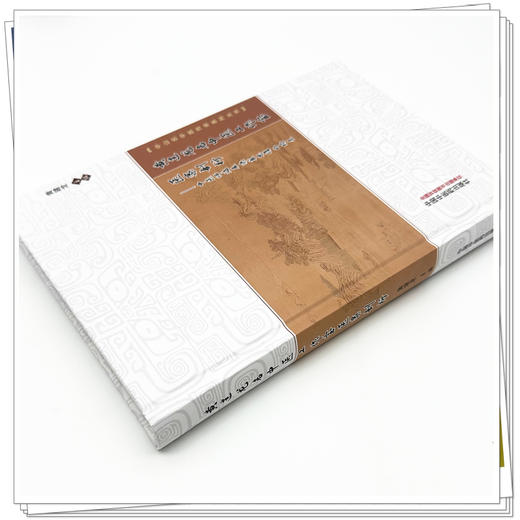 黄建龙名中医工作室医案剖析:中医师临床决策思维的构建 中山名中医传承系列丛书 黄建龙 主编 9787513298728中国中医药出版社 商品图4