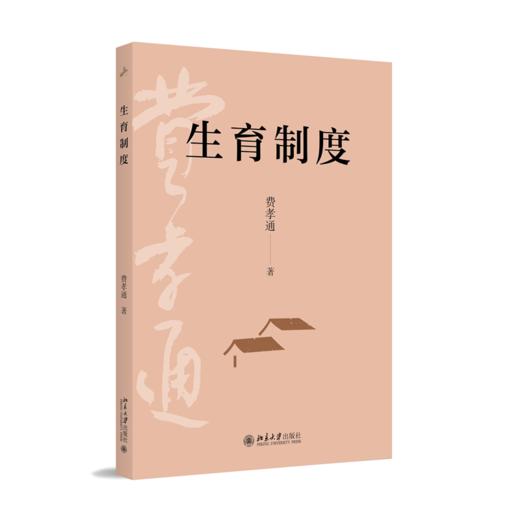 生育制度 商品图3