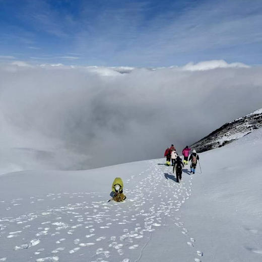 四川｜阿坝龙海雪山攀登2天1晚，成都往返四川阿坝小金县的高卡村，藏着一座几乎没被打扰过的绝美雪山，穿越林海走进云雾，看云海在脚下翻涌，金光酒落在雪山之巅，仿佛误入人间秘境 商品图2