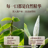 澜沧古茶2025年石斛白茶云南高山白茶白牡丹88g（4g*22） 商品缩略图2