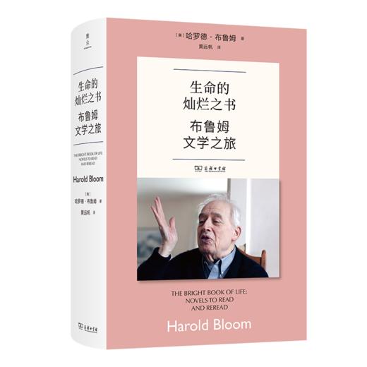 生命的灿烂之书：布鲁姆文学之旅 商品图1