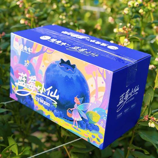 云南抚仙湖d的滋养【逐南味】花香蓝莓 口感脆甜 自带花香 富含花青素   商品图6