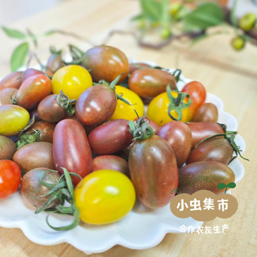 福建生态樱桃小番茄 3斤装 | 合作农友生产，产自福建福州，生产者：薛经茂 *【公平贸易农人定价】 商品图2