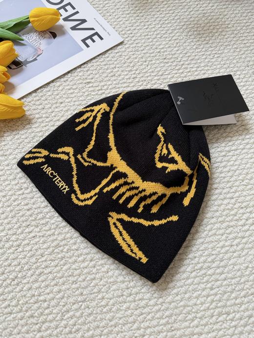 点此购买 始祖鸟秋冬季男女款冷帽 xj 338010 商品图3