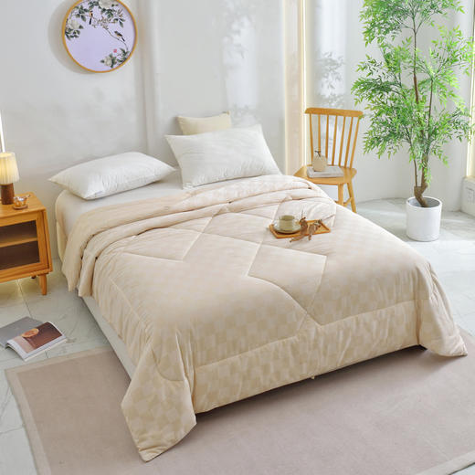 【秋冬棉被】100%棉素道有机彩棉-棋盘格纯棉加厚保暖透气被褥/被子（基地直发-申通包邮），来自敦煌，品牌：素道【合作生产，公平贸易】 商品图7