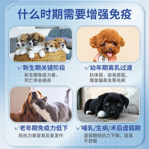 凯塔斯派甘宝catalysis VIUSID西班牙进口犬猫保肝养护抗氧化保健品 商品图4
