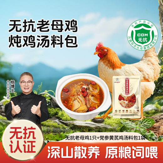 【杨博士 1只无抗老母鸡】深山散养无抗老母鸡土鸡 净重: 1.8斤及以上 毛重3斤以上 商品图0