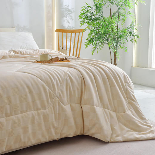 【秋冬棉被】100%棉素道有机彩棉-棋盘格纯棉加厚保暖透气被褥/被子（基地直发-申通包邮），来自敦煌，品牌：素道【合作生产，公平贸易】 商品图2