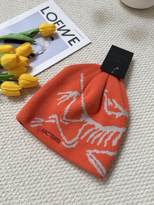 点此购买 始祖鸟秋冬季男女款冷帽 xj 338010 商品图7