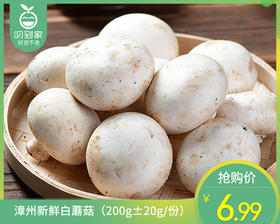 漳州新鲜白蘑菇（200g±20g/份）