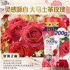 当妮护衣留香珠玫瑰之巅200g 12周持久留香 防异味 99%除菌除螨 易溶 商品缩略图2
