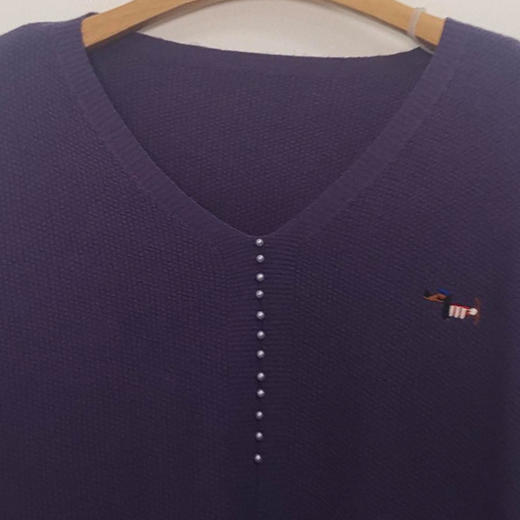 VIVIAN LIU薇薇安刘C2556303秋女装新款V领绣花小狗宽松毛衣 商品图2