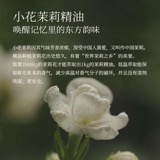 橪 小花茉莉精油2ml 单方精油 商品图4