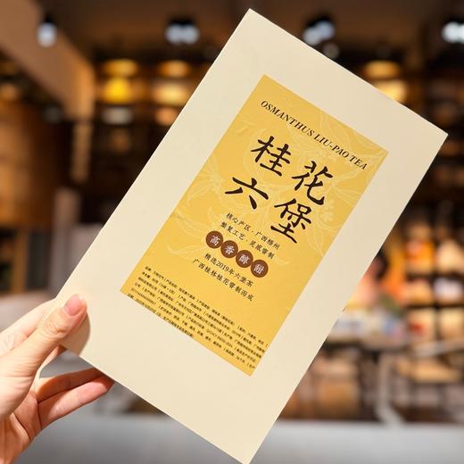 大师非遗六堡系列，核心产区，大师亲制好茶！专业陈藏，祛湿好喝 商品图9