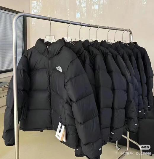 D121657立领保暖1996纯色暗格防水棉服外套 商品图2