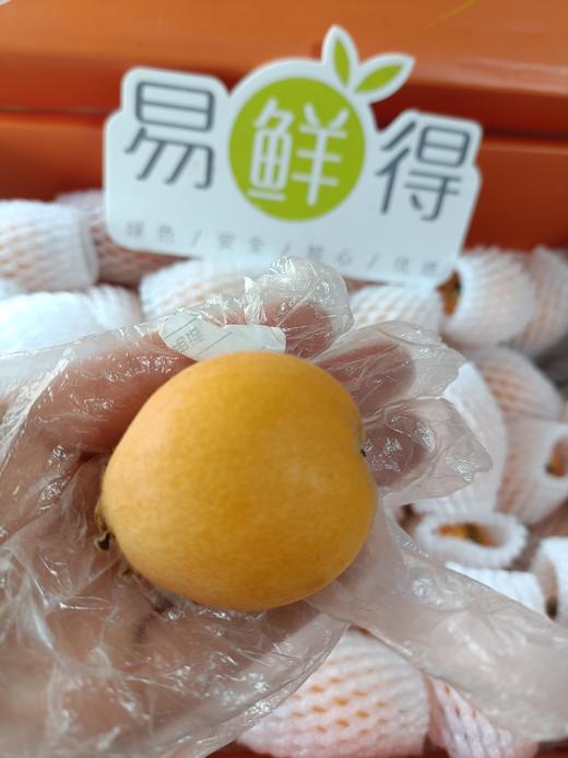 四川攀枝花米易五星枇杷  整箱4斤装 商品图2