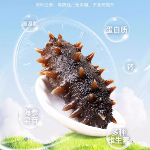 鑫玉龙有机即食海参440g袋装（15～20头） 商品图2