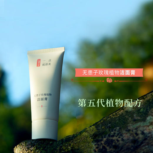 无患子玫瑰植物洁面膏  滋润控油脂 洗卸护合一 商品图5
